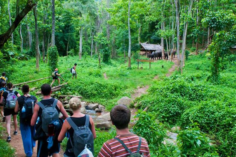 Cuc Phuong National Park- Private Full Day Tour From Hanoi