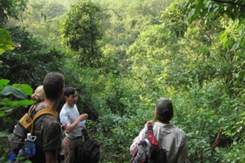 Cuc Phuong National Park 2 Day Tour From Hanoi