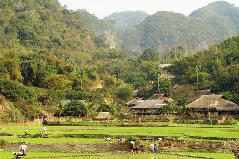 Mai Chau Village Day Tour From Hanoi